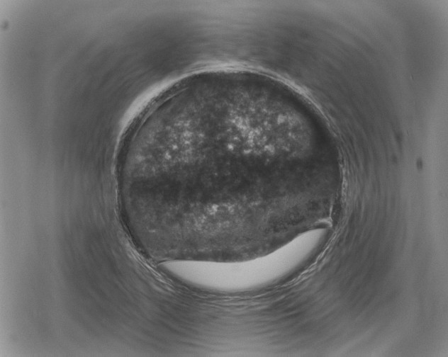 X0000078831319200611271247