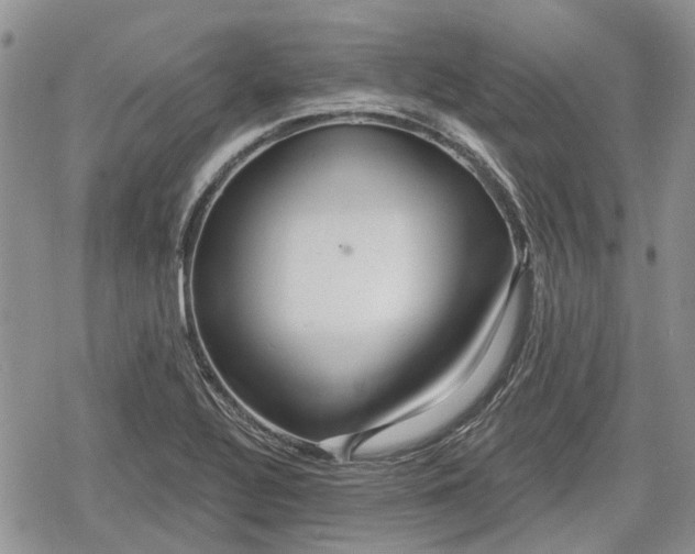 X0000078831320200611271247