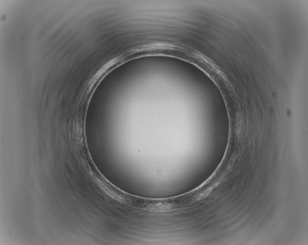 X0000078831321200611271247