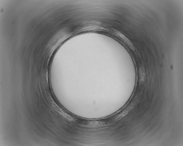 X0000078831322200611271247