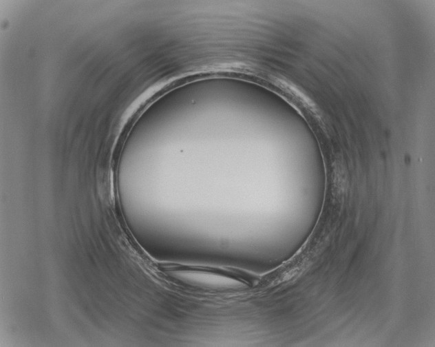 X0000078831324200611271247