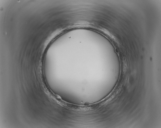 X0000078831325200611271247