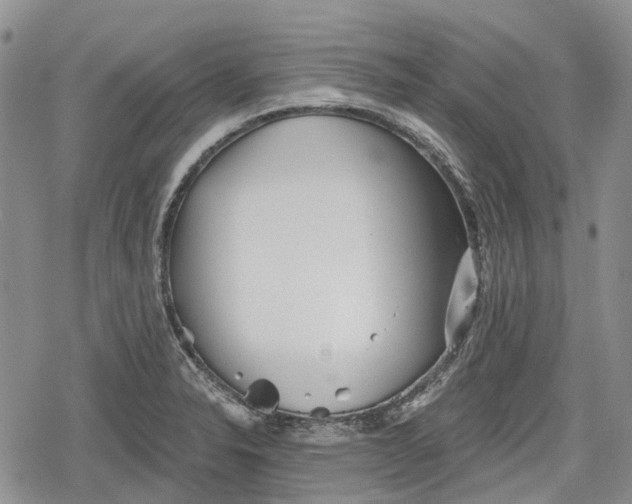 X0000078831326200611271247