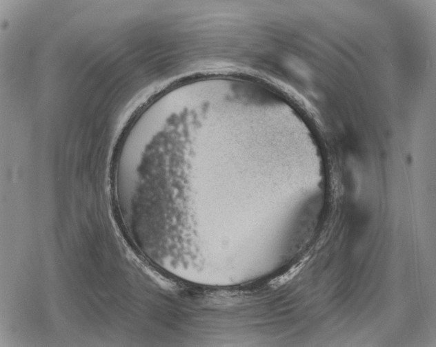 X0000078831327200611271247