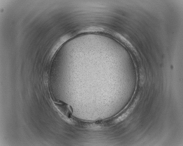 X0000078831329200611271247