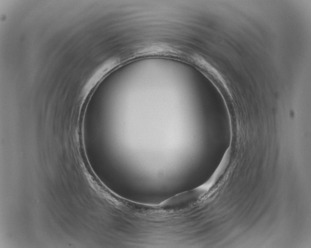 X0000078831330200611271247