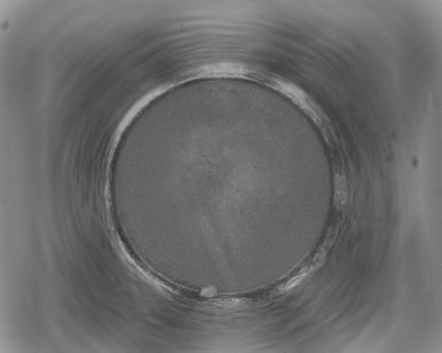 X0000078831331200611271247