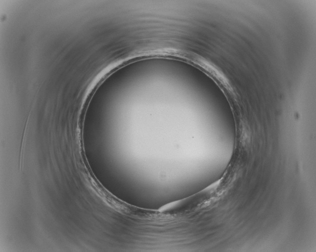 X0000078831332200611271247