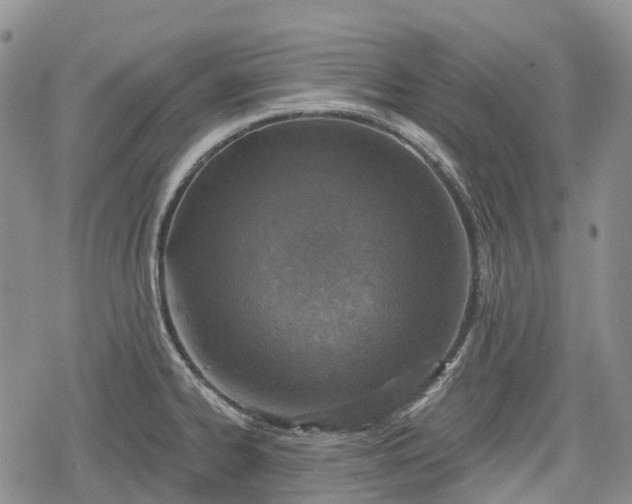 X0000078831334200611271247