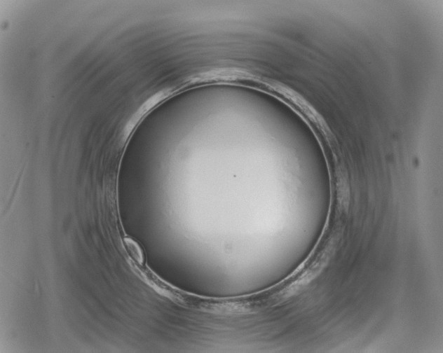 X0000078831337200611271247