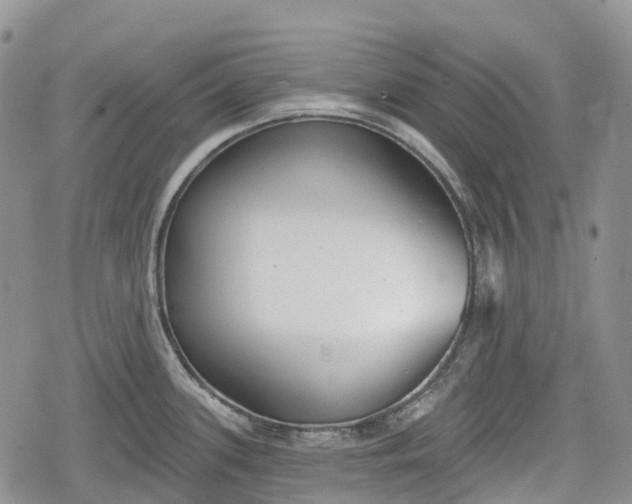 X0000078831339200611271247