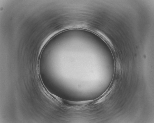 X0000078831340200611271247