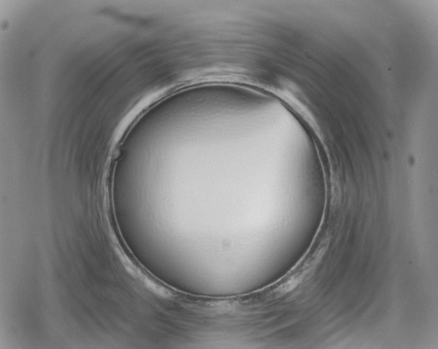 X0000078831341200611271247