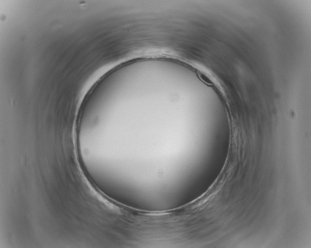 X0000078831343200611271247