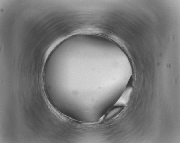 X0000078831344200611271247