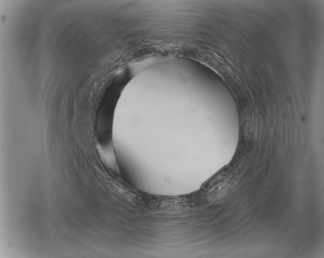 X0000078831345200611271247