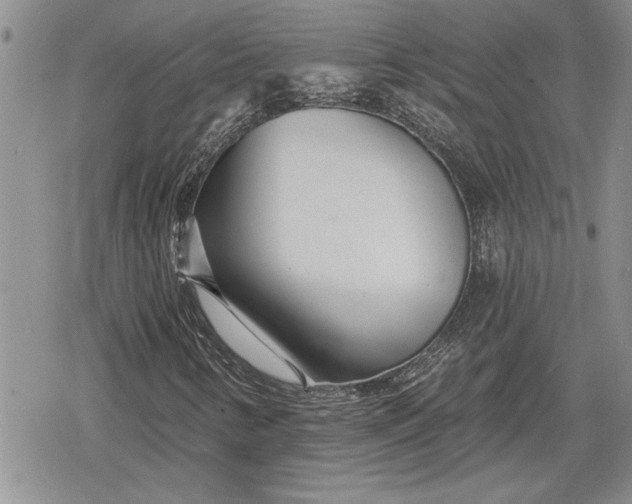 X0000078831346200611271247