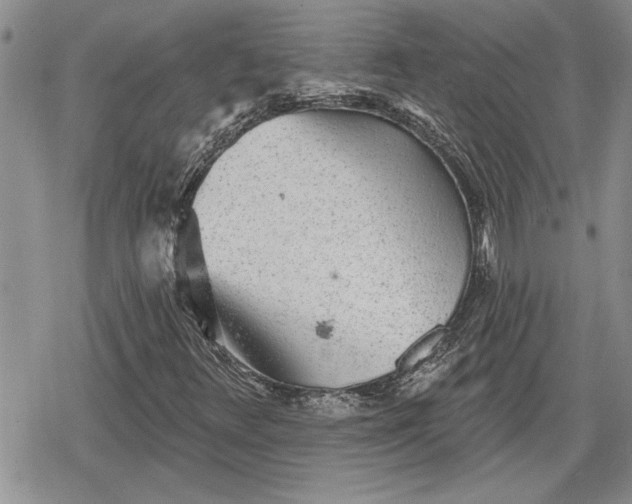 X0000078831348200611271247