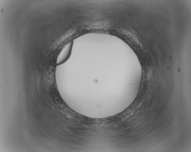 X0000078831350200611271247