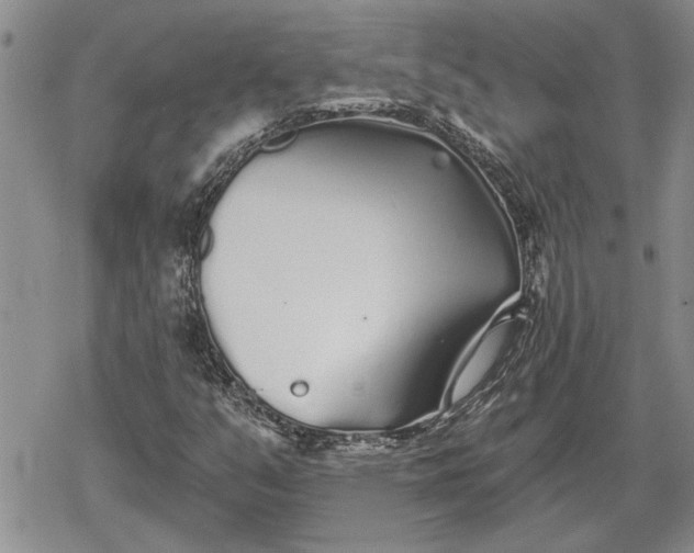 X0000078831351200611271247