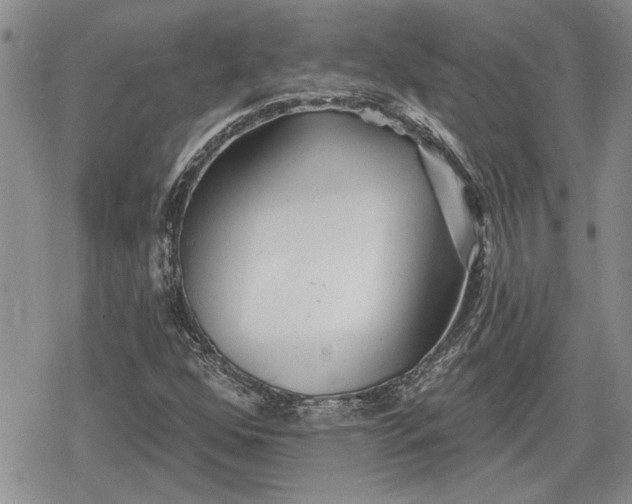 X0000078831352200611271247