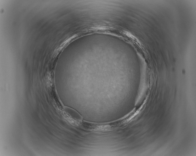 X0000078831353200611271247