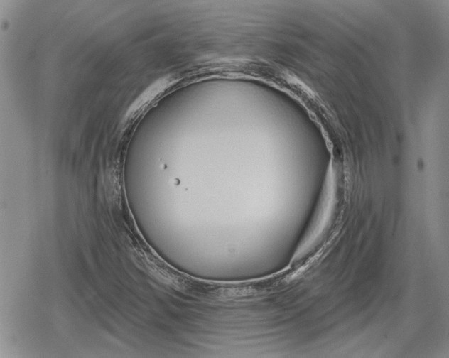 X0000078831354200611271247