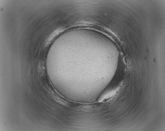 X0000078831355200611271247