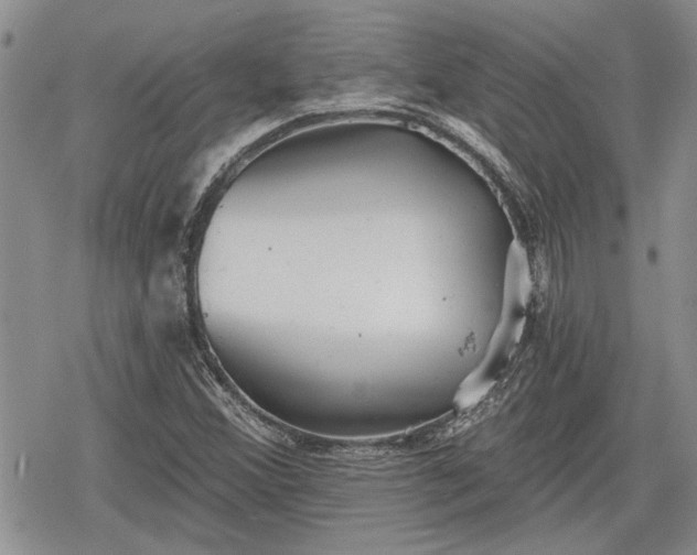 X0000078831356200611271247