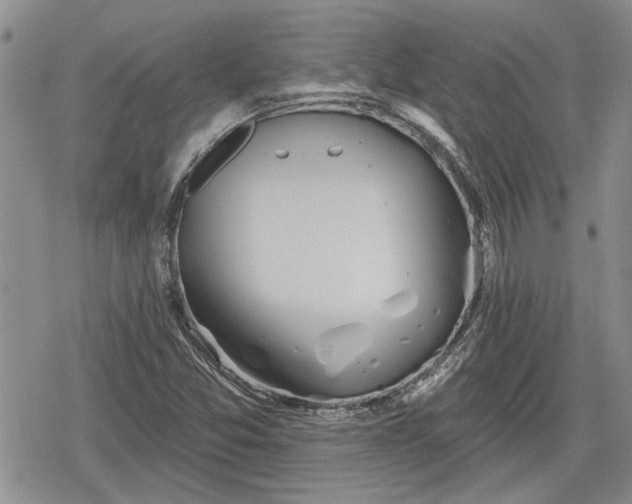 X0000078831357200611271246