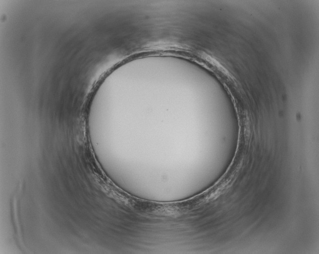 X0000078831358200611271246