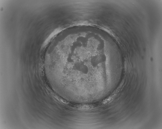 X0000078831359200611271246