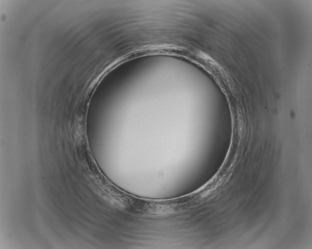 X0000078831361200611271246