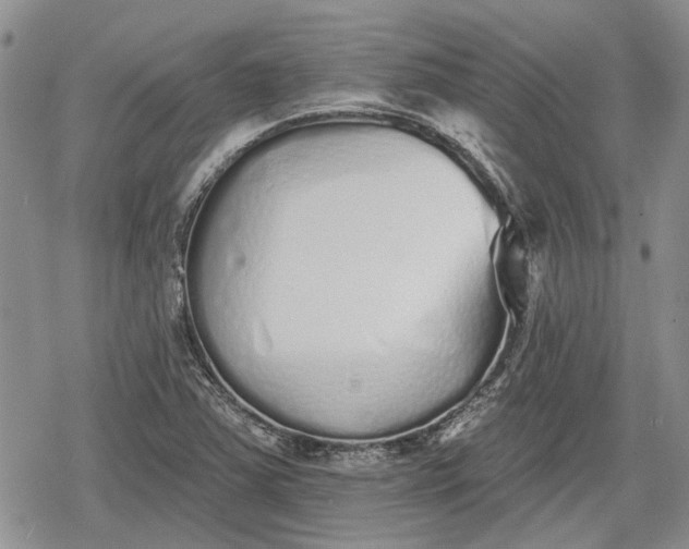 X0000078831363200611271246