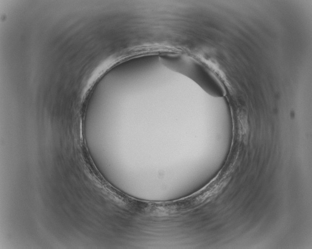 X0000078831365200611271246