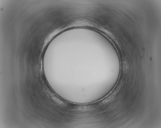 X0000078831366200611271246