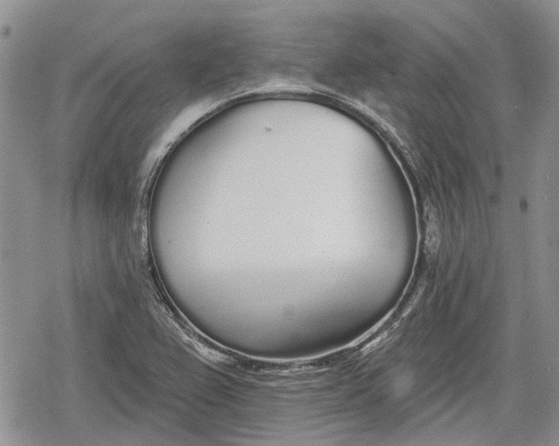 X0000078831367200611271246