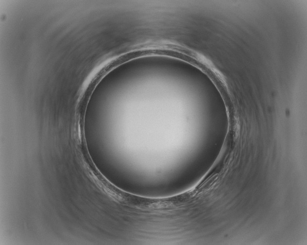 X0000078831368200611271246