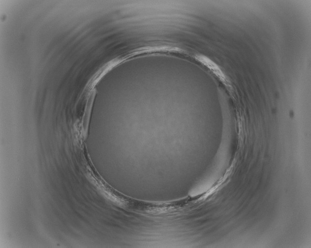 X0000078831369200611271246