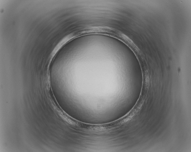 X0000078831370200611271246