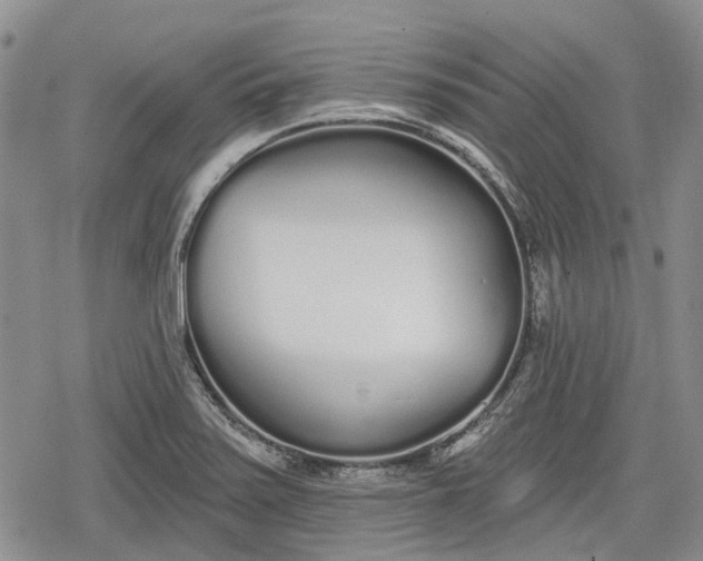 X0000078831371200611271246