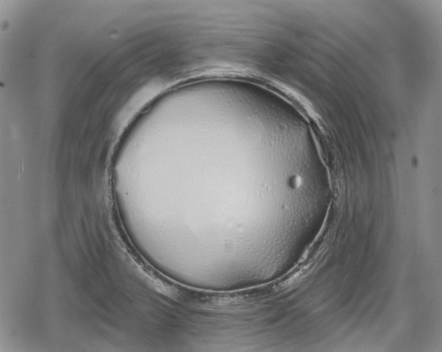 X0000078831375200611271246