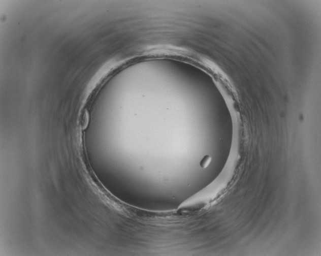 X0000078831376200611271246