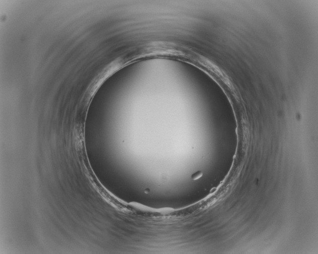 X0000078831377200611271246