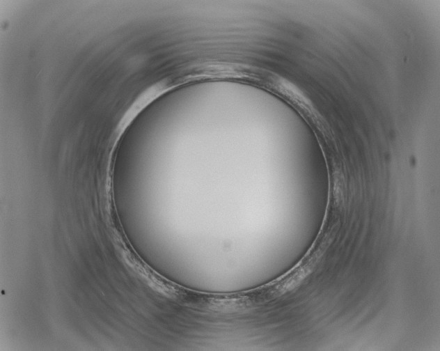 X0000078831378200611271246