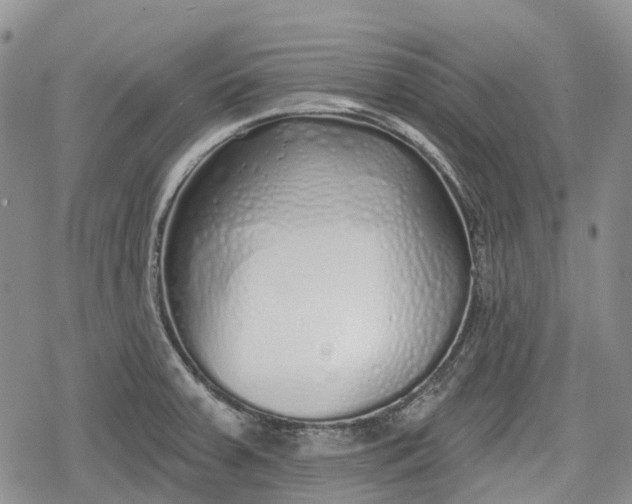 X0000078831379200611271246