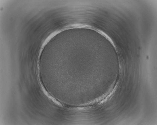 X0000078831381200611271246