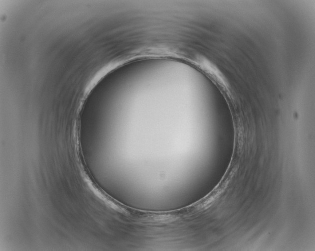 X0000078831382200611271246