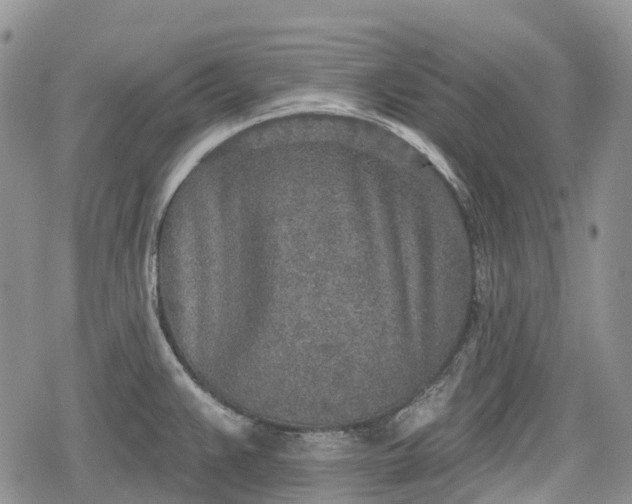 X0000078831383200611271246