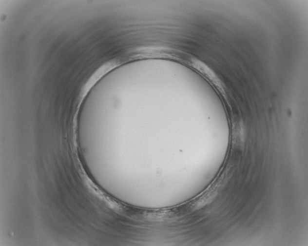 X0000078831386200611271246